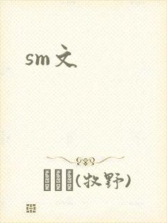 sm文
