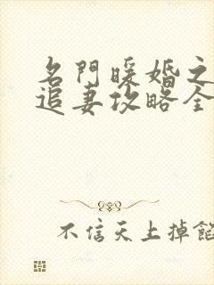 名门暖婚之权爷追妻攻略全文免费阅读