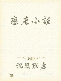 恋老小说