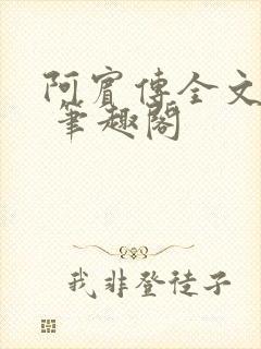 阿宾传全文阅读 笔趣阁