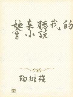 她来听我的演唱会小说