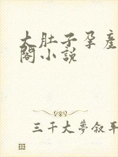 大肚子孕产笔趣阁小说