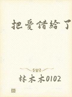 把爱错给了你