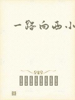 一路向西小说