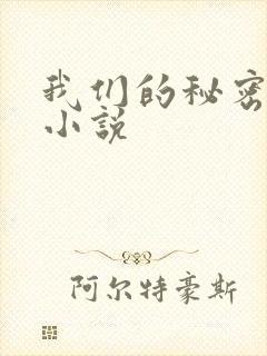 我们的秘密泰剧小说