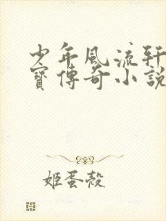 少年风流轩辕大宝传奇小说