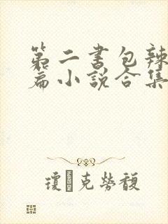 第二书包辣网短篇小说合集