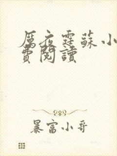 厉夜霆苏小汐免费阅读