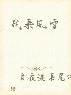 我乘风雪