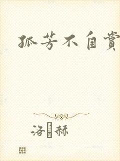 孤芳不自赏小说