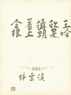 含着摄政王的紫根上朝是啥小说