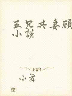五兄共妻顾心儿小说