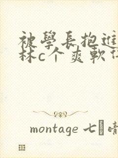 被学长抱进小树林c个爽软件