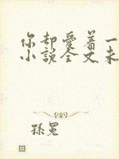 你却爱着一个他小说全文未删减免费