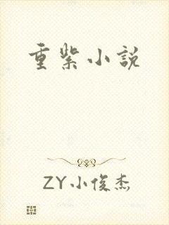重紫小说