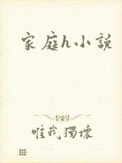 家庭h小说