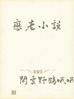 恋老小说
