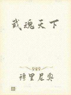 武魂天下