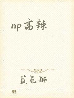 np高辣