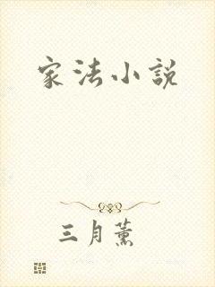 家法小说