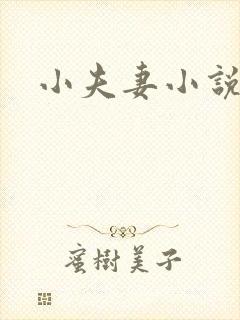 小夫妻小说