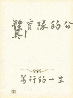 体育队的公用玩具1