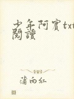 少年阿宾txt阅读