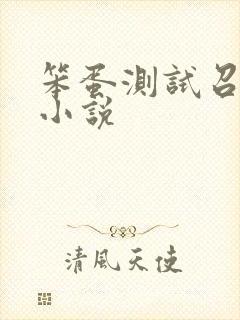 笨蛋测试召唤兽小说