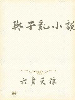 与子乱小说