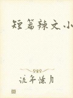 短篇辣文小说