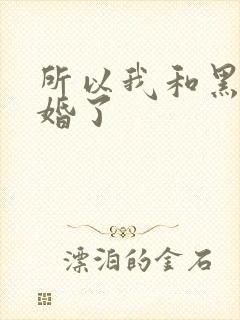 所以我和黑粉结婚了