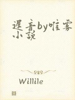 迟音by唯雾的小说