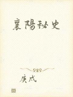 襄阳秘史