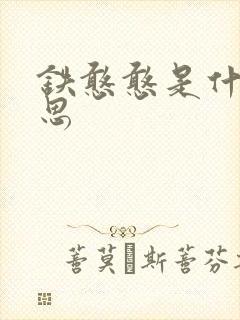 铁憨憨是什么意思