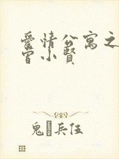 爱情公寓之极品曾小贤