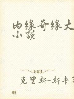 内缘奇缘大团圆小说