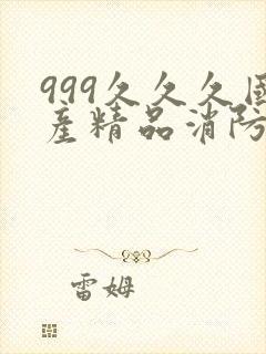 999久久久国产精品消防器材