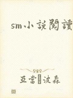 sm小说阅读