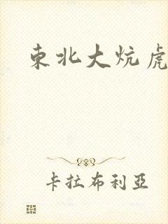 东北大炕虎子