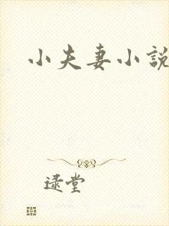 小夫妻小说