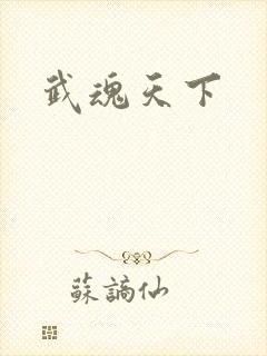 武魂天下