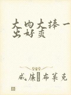 大肉大捧一进一出好爽