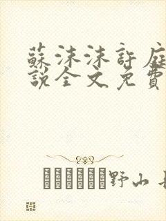 苏沫沫许庭川小说全文免费阅读