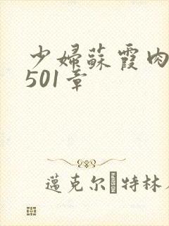 少妇苏霞肉欲第501章