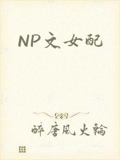 NP文女配