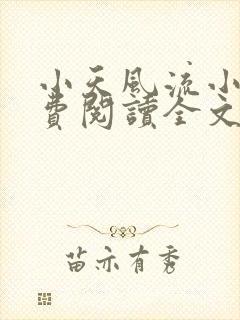 小天风流小说免费阅读全文最新章节