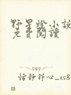 野星灯小说全文免费阅读