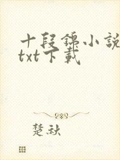 十段锦小说全本txt下载