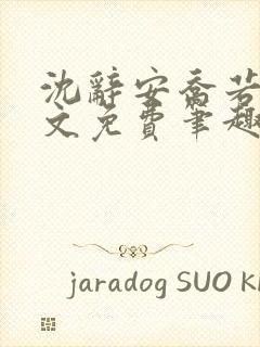 沈辞安乔若兮全文免费笔趣阁