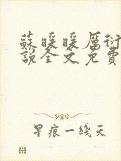 苏暖暖厉衍琛小说全文免费阅读